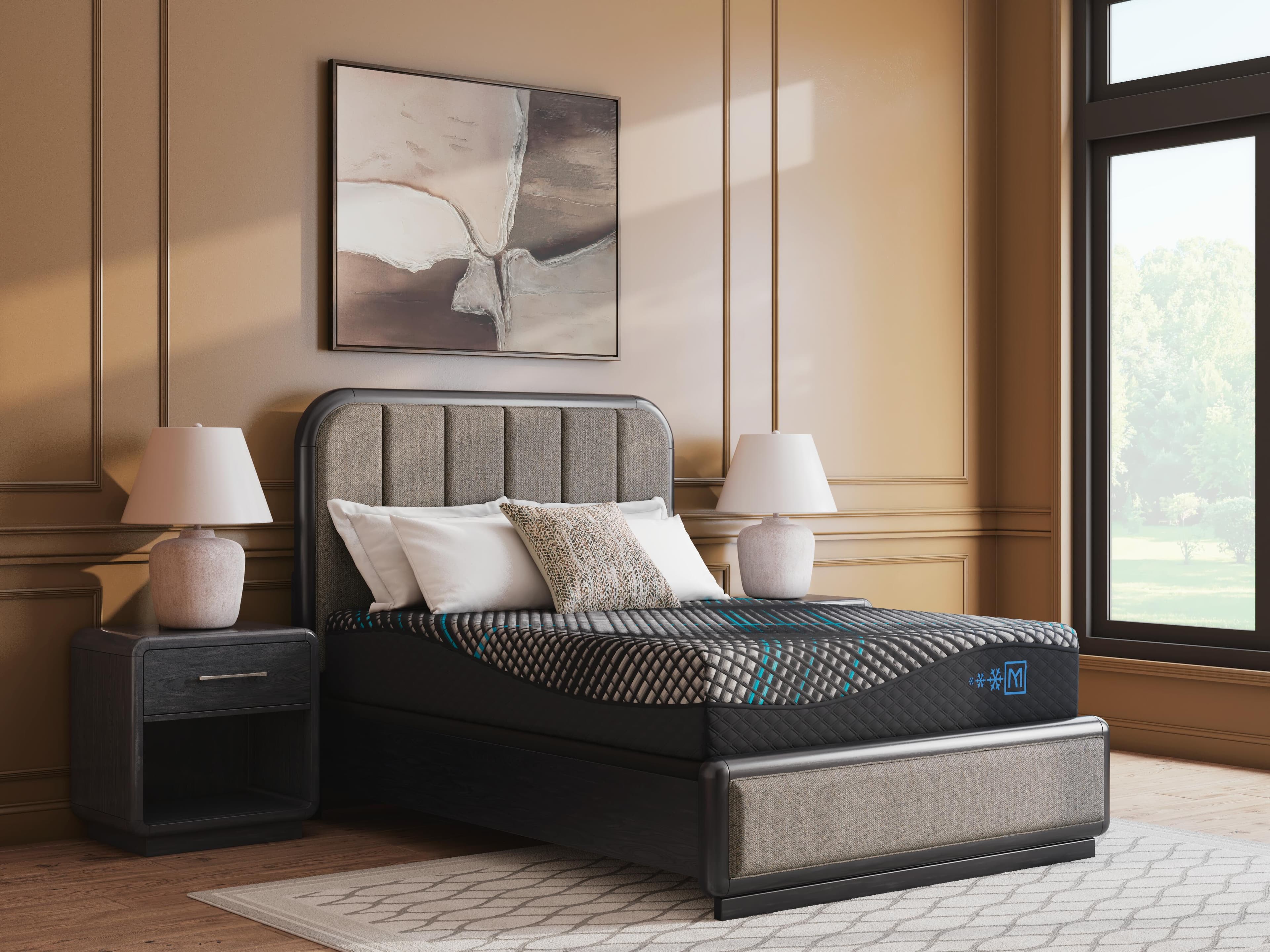 Millennium 2.0 Hybrid 14 Inch Queen Mattress — Black — view 2